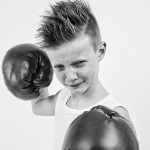 Zenboksen & Boksend Opvoeden, scholen, live4fit 2